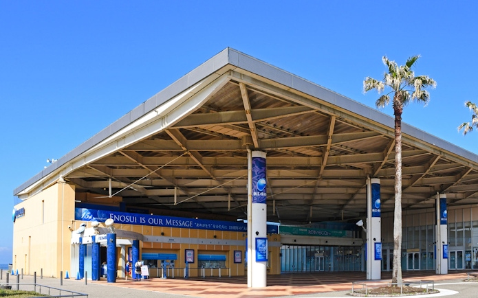 Enoshima Aquarium entrance with palm trees and blue sky.