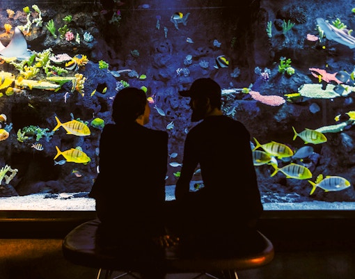 Tivoli Gardens Copenhagen