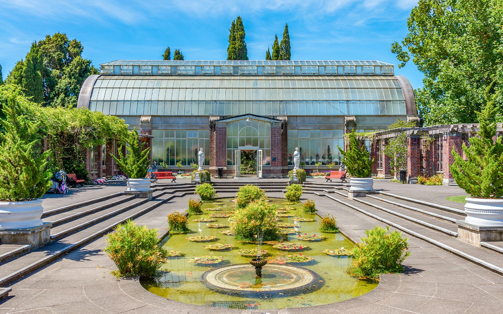 Auckland Domain Wintergardens, New Zealand, showcasing vibrant plant displays.