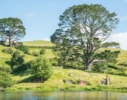 The Party Tree at Hobbiton Movie Set with hobbit holes and lush greenery.