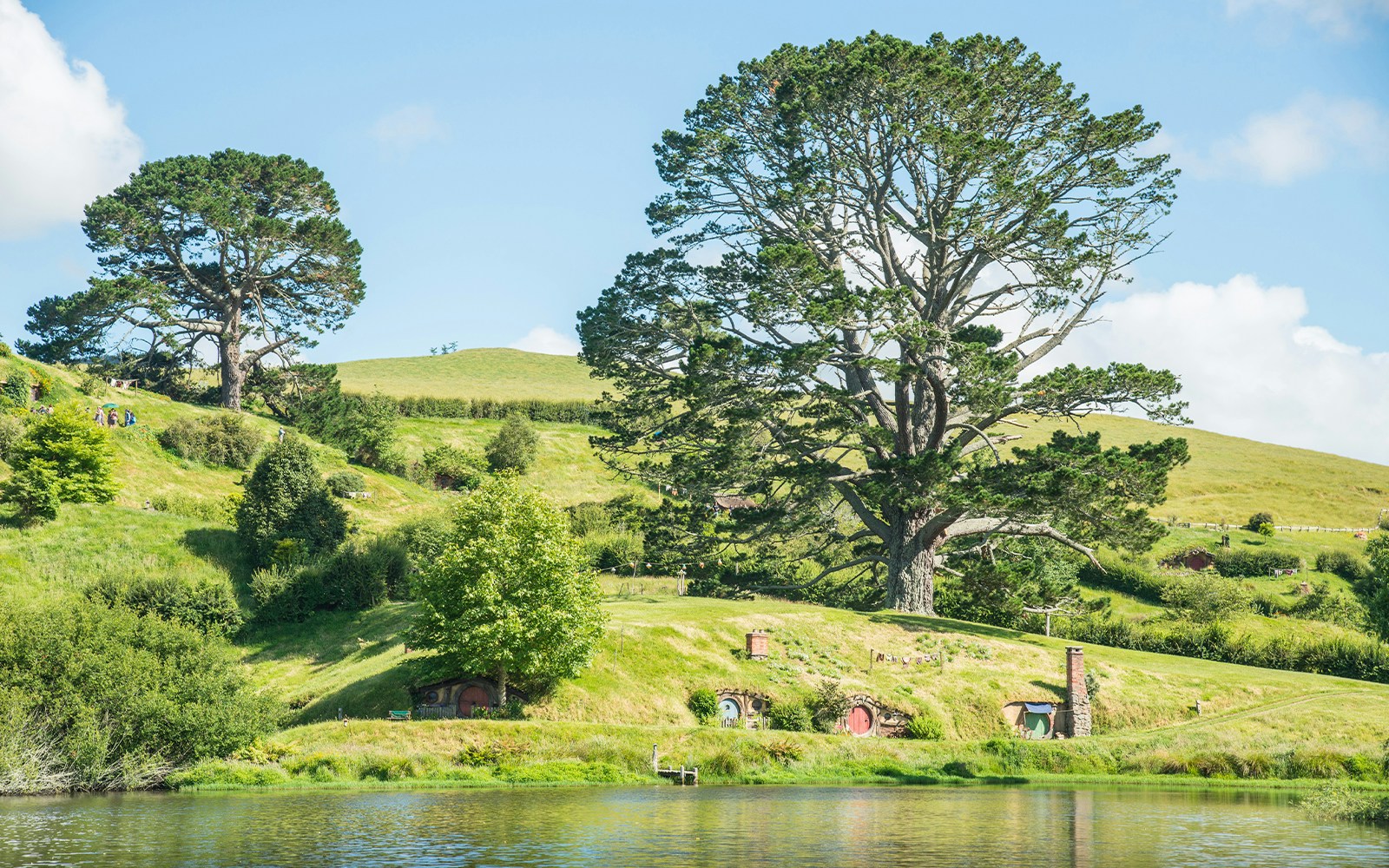 The Party Tree at Hobbiton Movie Set with hobbit holes and lush greenery.