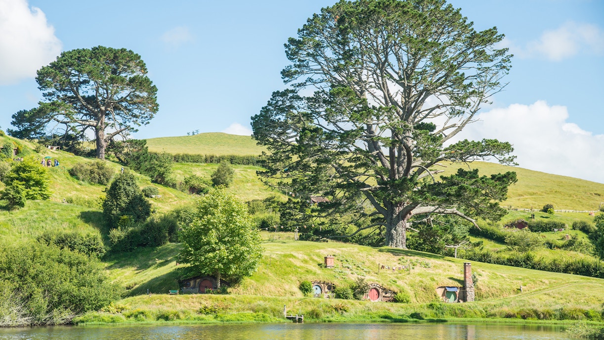 The Party Tree at Hobbiton Movie Set with hobbit holes and lush greenery.
