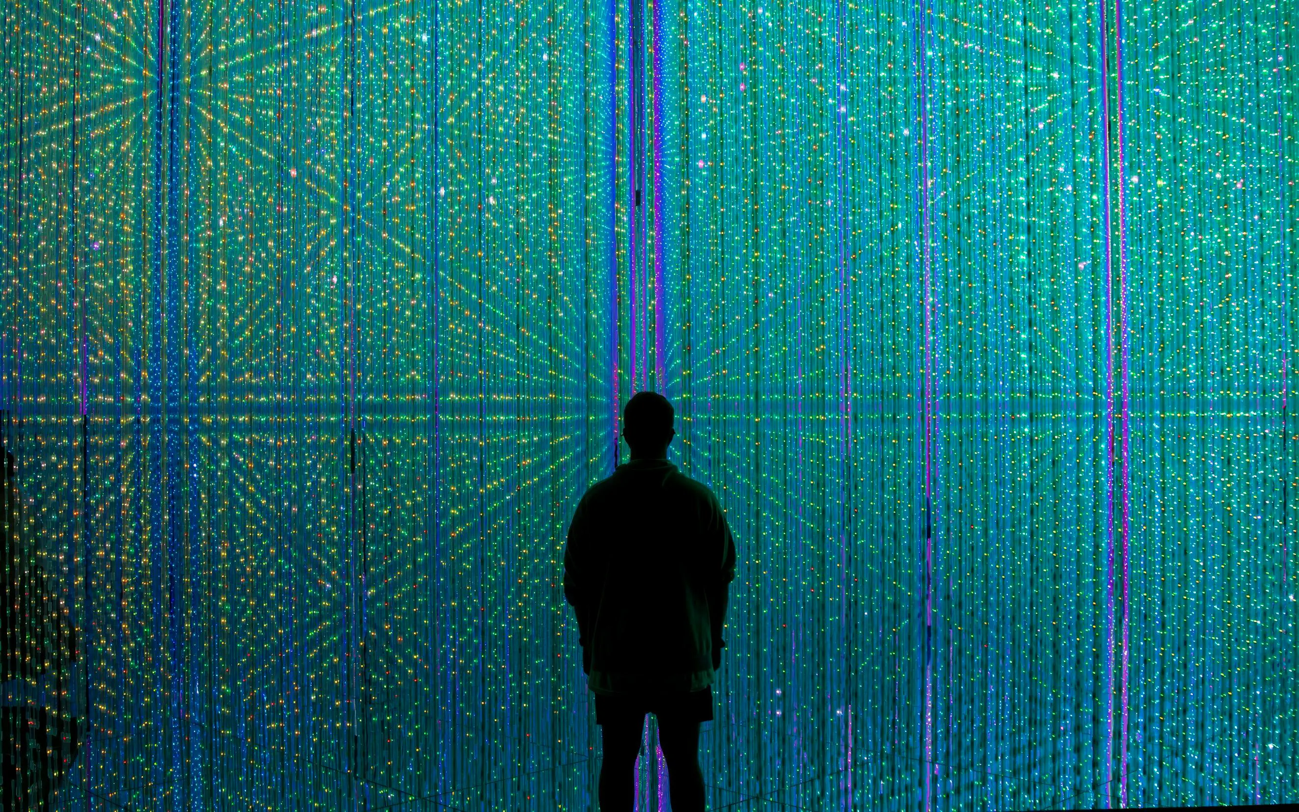 Man observing digital light display at TeamLab Tokyo.