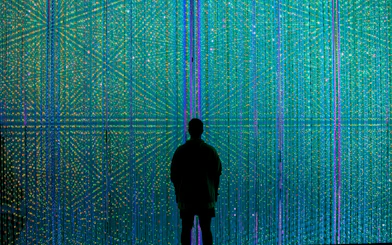 Man observing digital light display at TeamLab Tokyo.