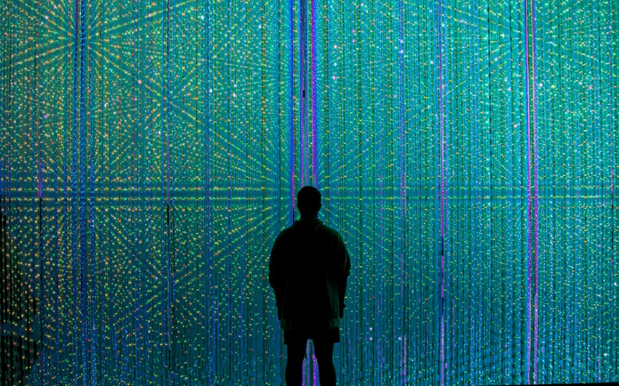Man observing digital light display at TeamLab Tokyo.