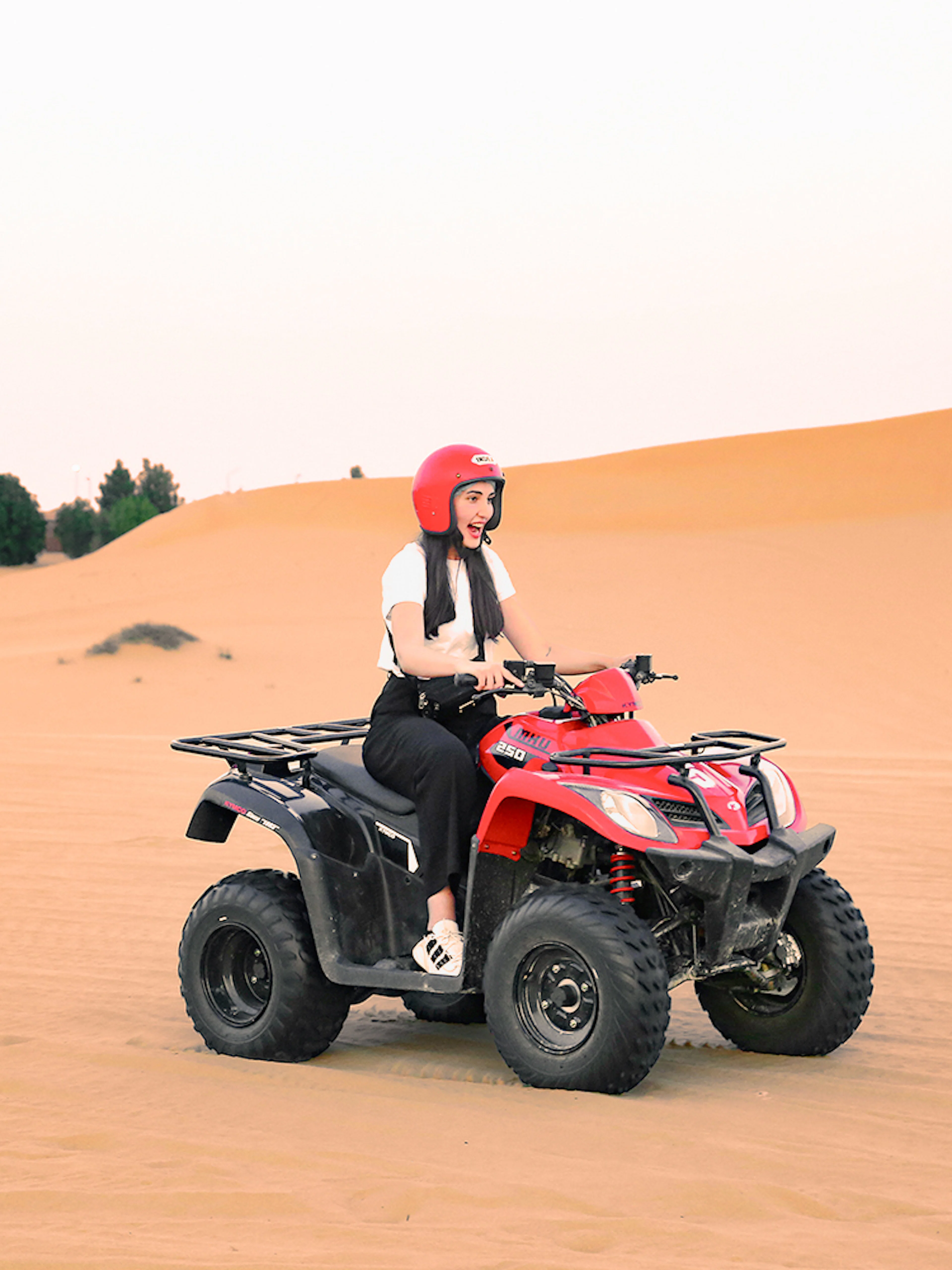 Person riding a quad bike in the Abu Dhabi desert.
