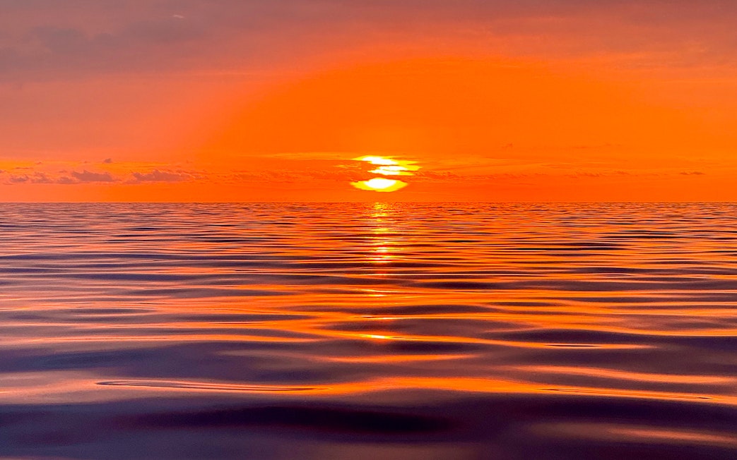 Sunset over ocean during Private Dolphin & Whale Watching Cruise, Gran Canaria.