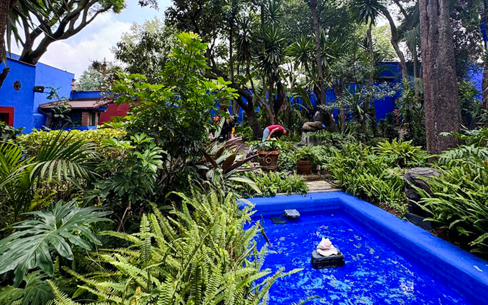 Lush garden with blue walls at Frida Kahlo Museum, Mexico City.
