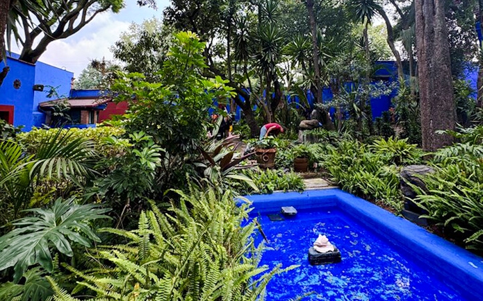 Lush garden with blue walls at Frida Kahlo Museum, Mexico City.