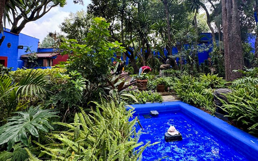 Lush garden with blue walls at Frida Kahlo Museum, Mexico City.