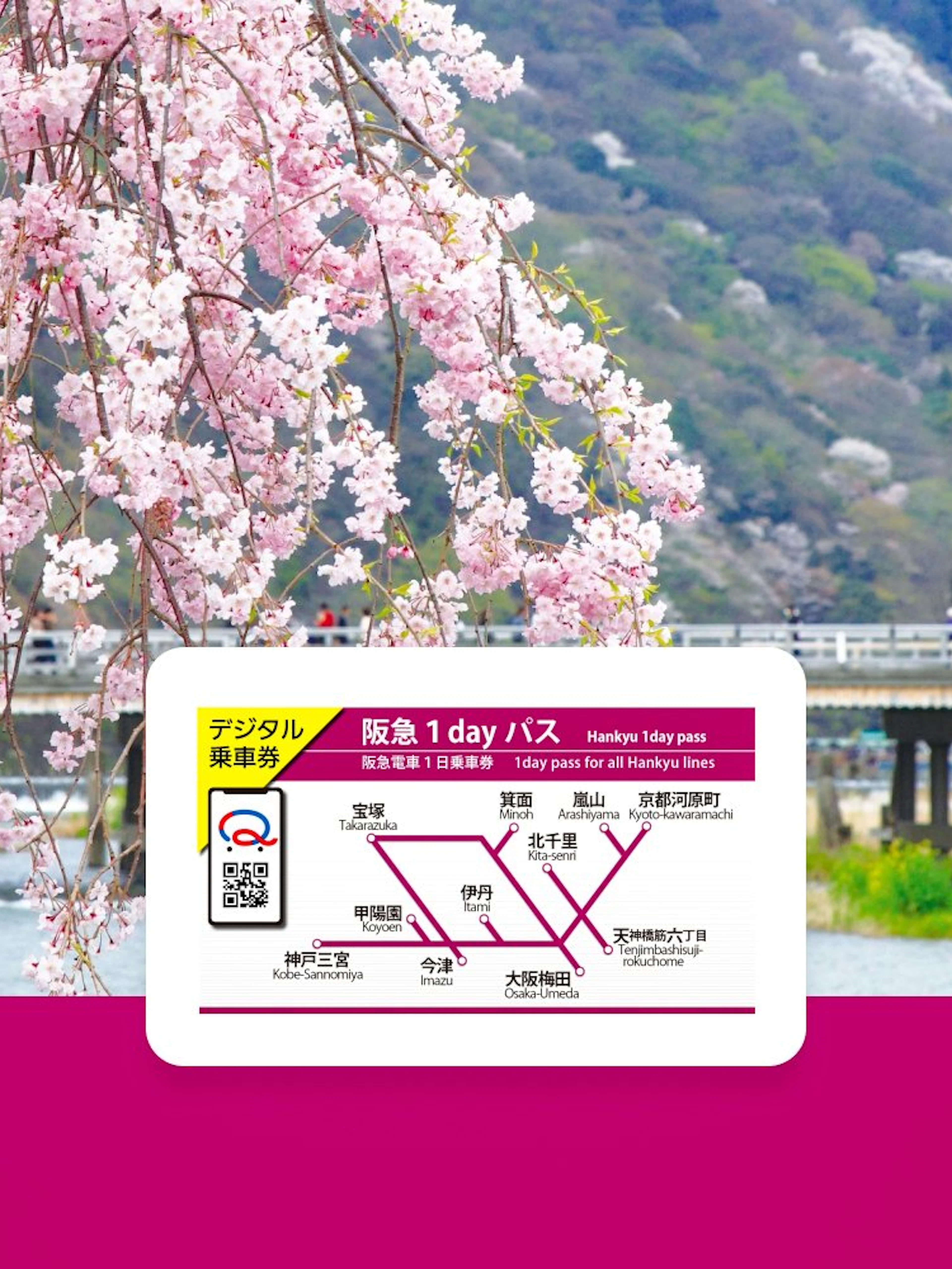 Cherry blossoms near a river with Hankyu 1-Day Pass map overlay.