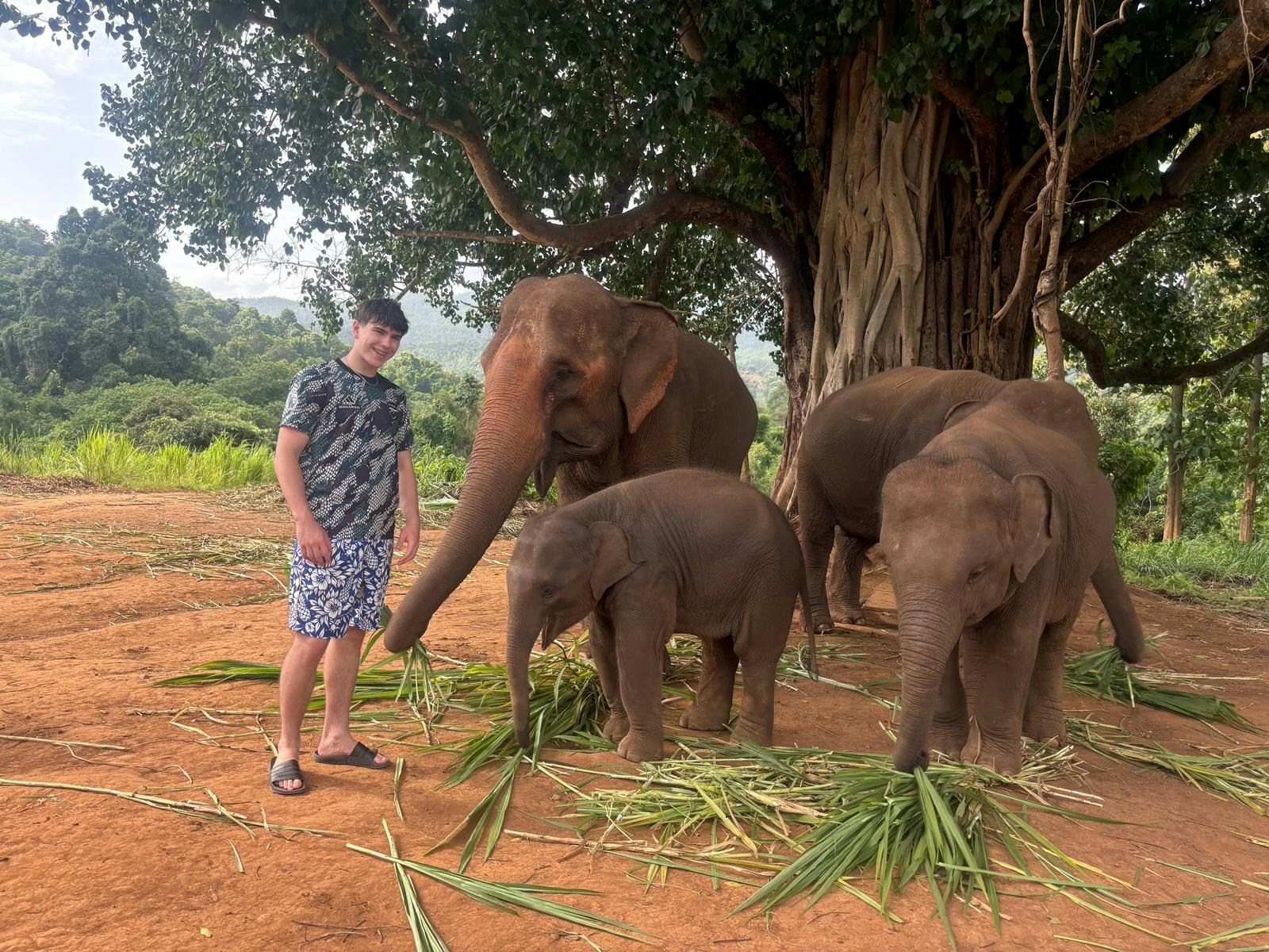 Elephants and visitor at Chiang Mai Elephant Sanctuary, Thailand.
