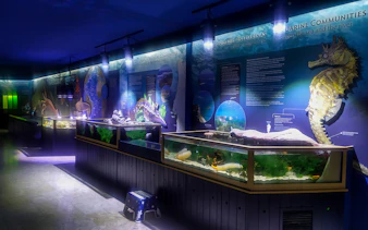 Aquarium exhibits with marine life displays at Vasco da Gama Aquarium, Lisbon.