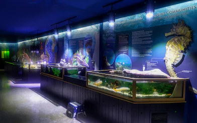 Aquarium exhibits with marine life displays at Vasco da Gama Aquarium, Lisbon.