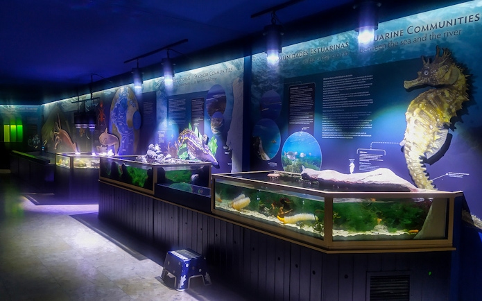 Aquarium exhibits with marine life displays at Vasco da Gama Aquarium, Lisbon.