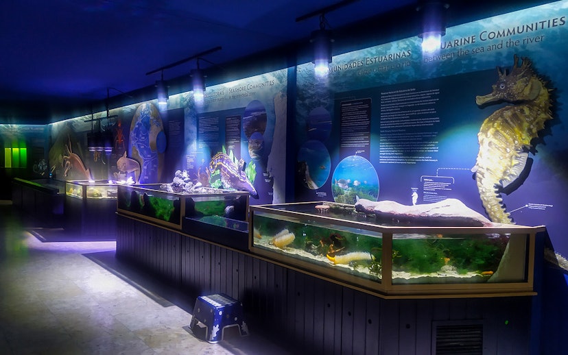 Aquarium exhibits with marine life displays at Vasco da Gama Aquarium, Lisbon.