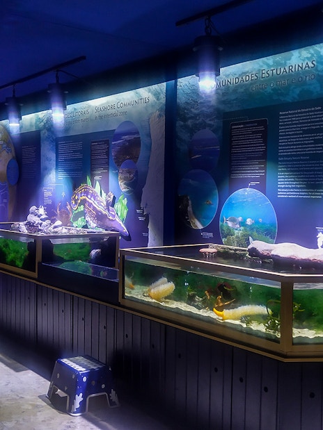 Aquarium exhibits with marine life displays at Vasco da Gama Aquarium, Lisbon.