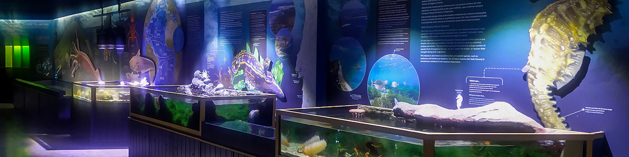 Biglietti per l'Acquario Vasco da Gama di Lisbona