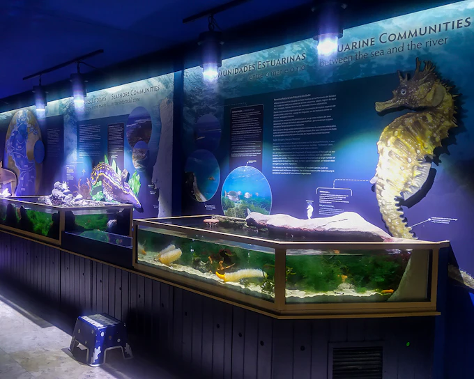 Tickets to Vasco da Gama Aquarium in Lisbon