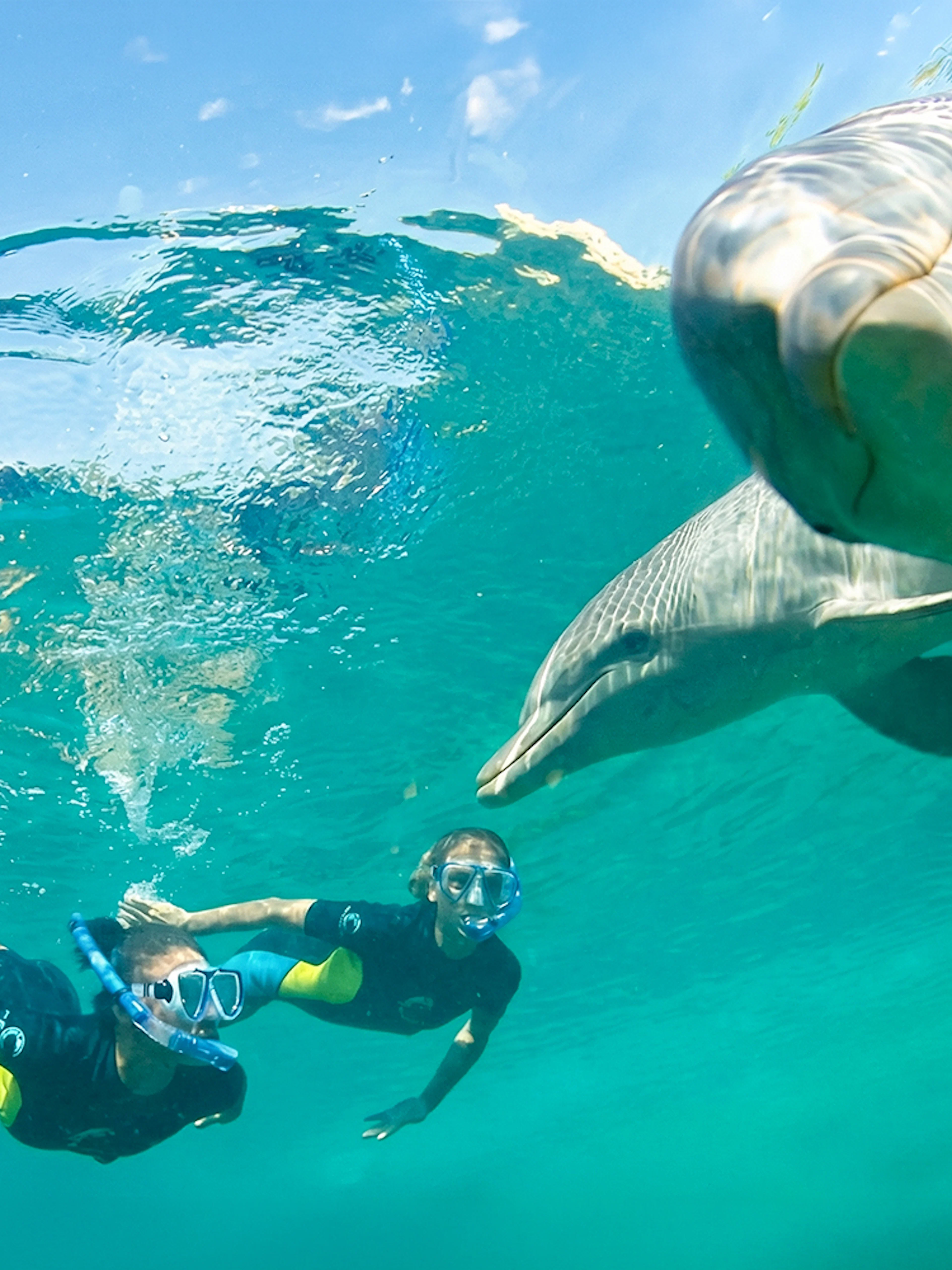 Snorkelers swimming with dolphins at Atlantis Aquaventure, Nassau, Bahamas.