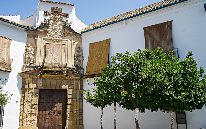 Facade of a historic building in Cordoba with ornate stonework and orange trees.