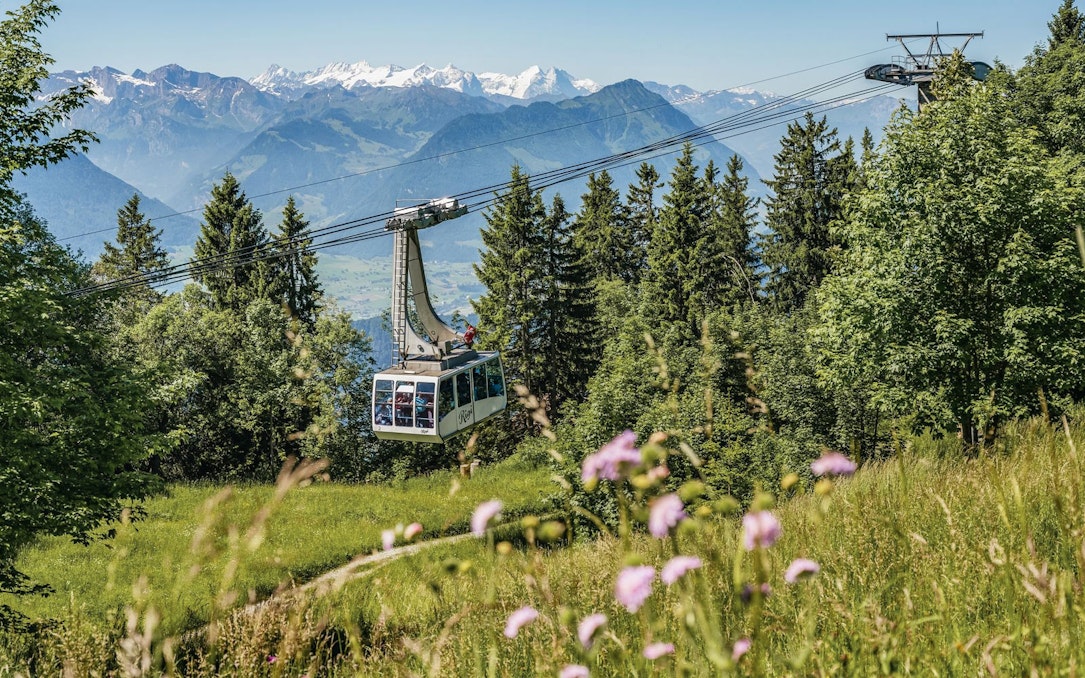 Cable car ascending Mount Rigi with scenic view of Swiss Alps and lush greenery.