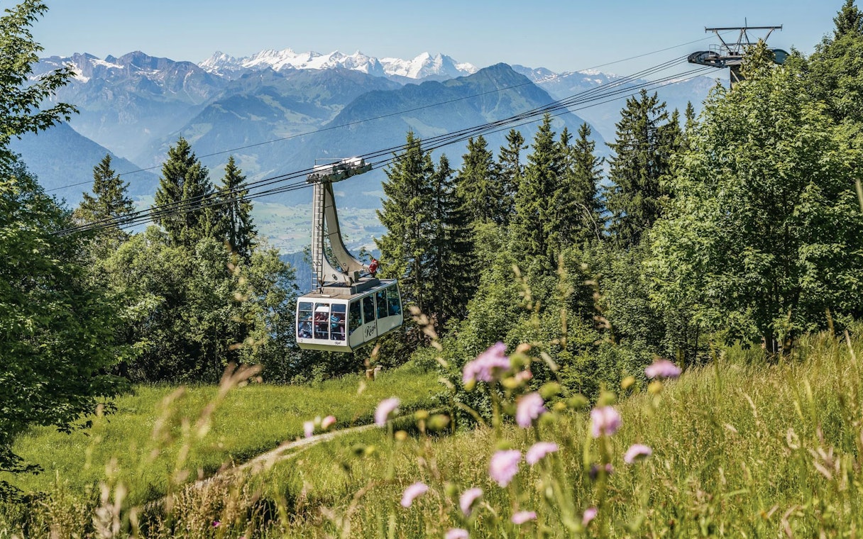 Cable car ascending Mount Rigi with scenic view of Swiss Alps and lush greenery.