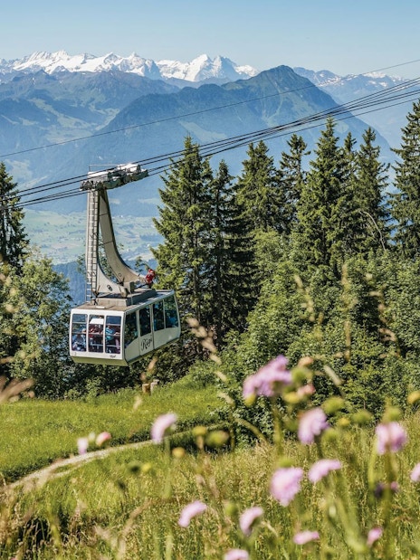 Cable car ascending Mount Rigi with scenic view of Swiss Alps and lush greenery.