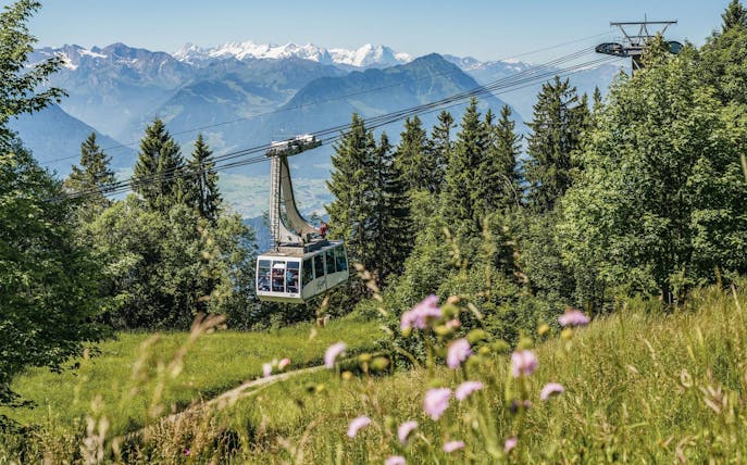 Cable car ascending Mount Rigi with scenic view of Swiss Alps and lush greenery.