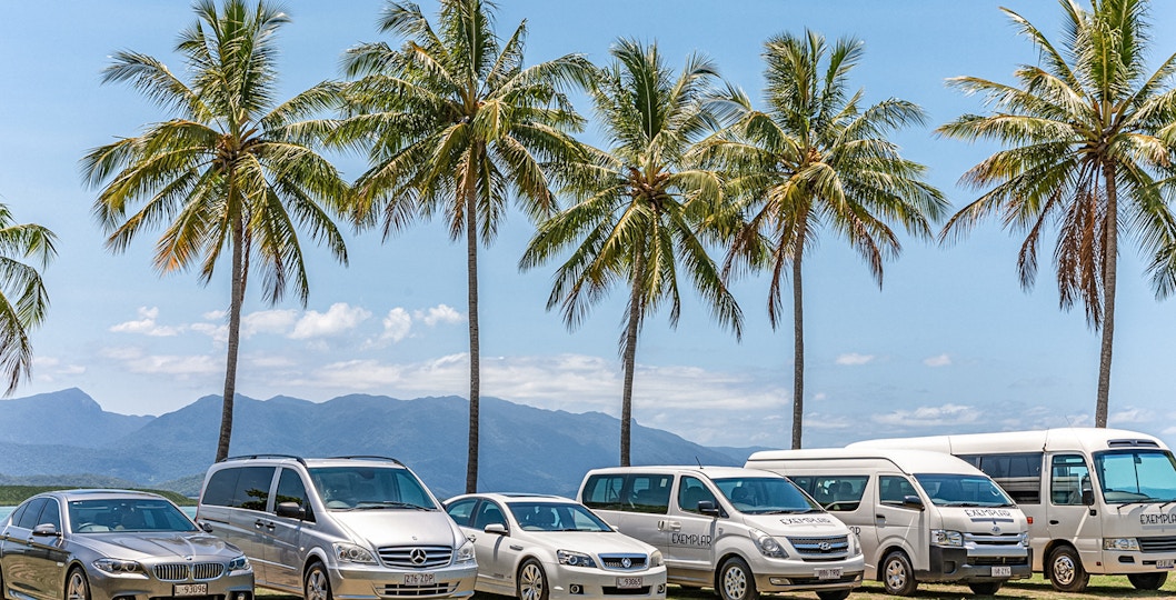 One-Way Shared Coach Transfers from Palm Cove to Port Douglas