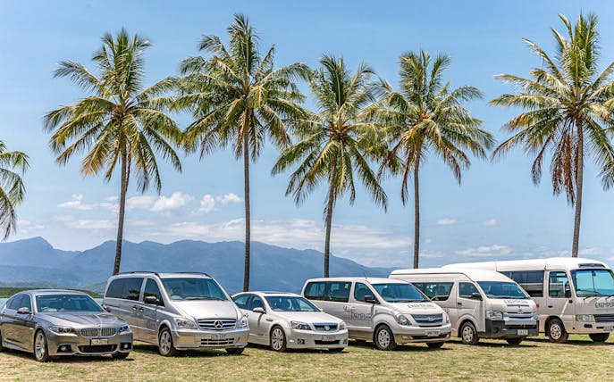 Shared coach vehicles parked under palm trees, Palm Cove to Port Douglas transfer.