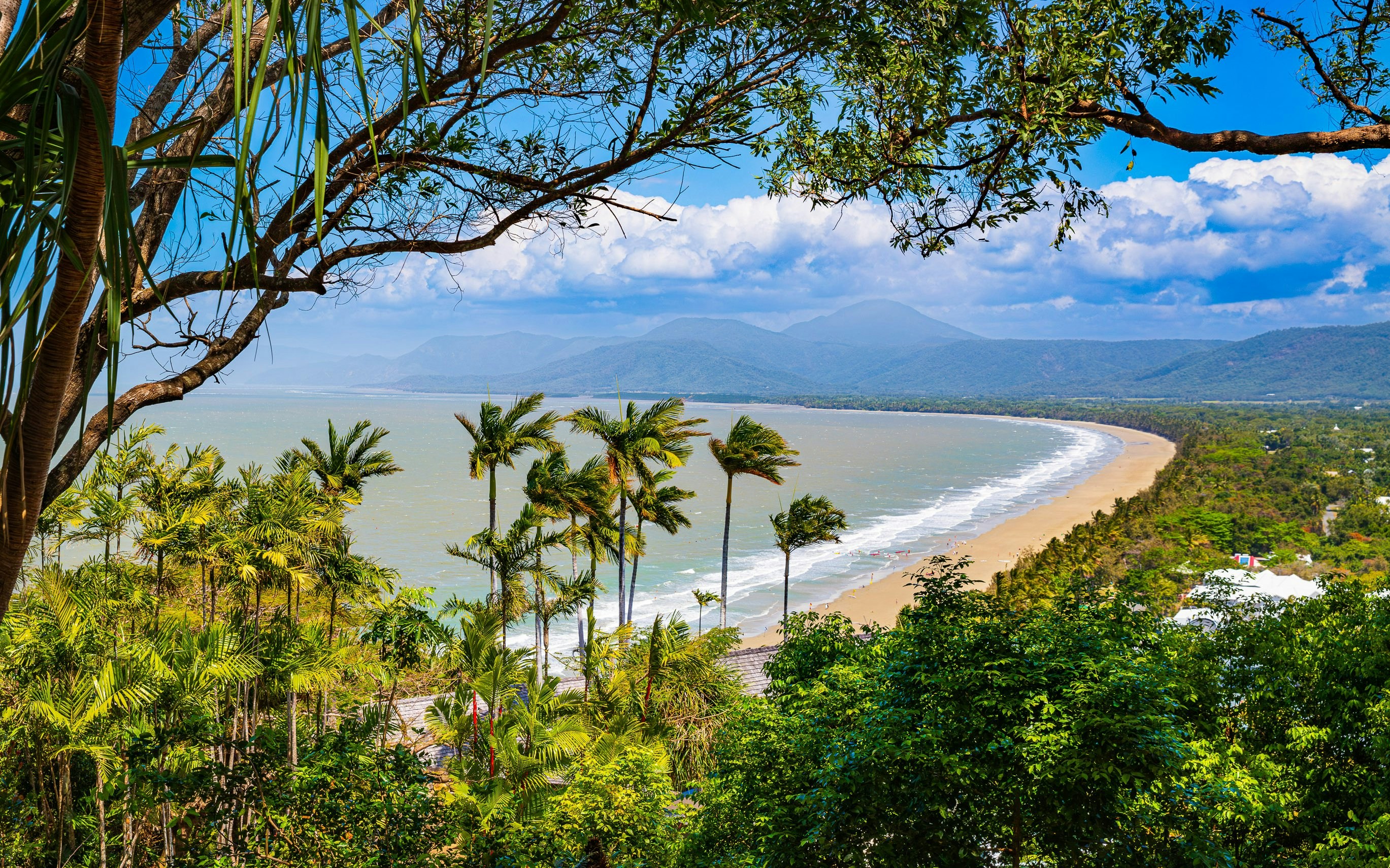 Four Mile Beach coastline with palm trees and ocean view in Port Douglas, Australia.