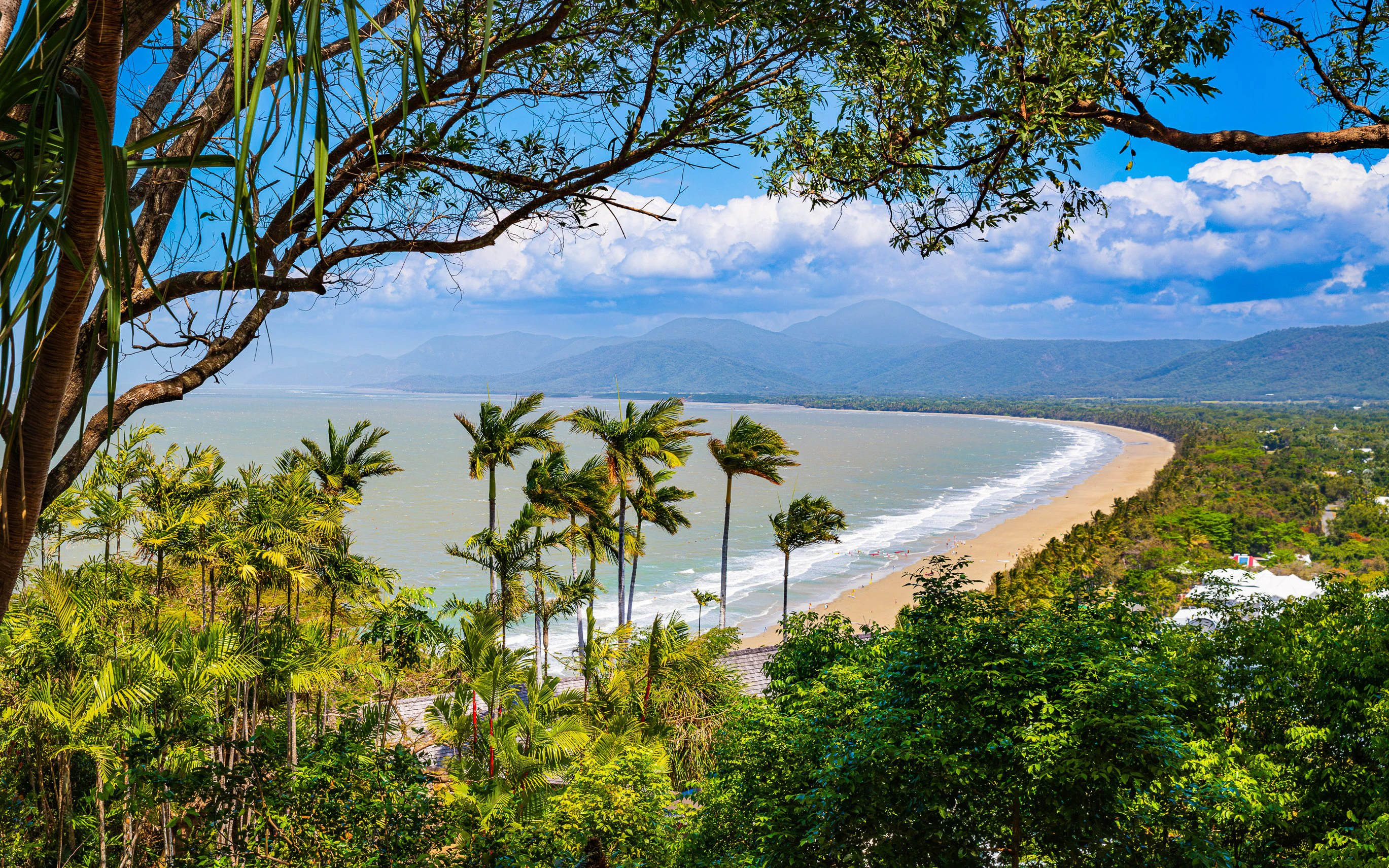 Four Mile Beach coastline with palm trees and ocean view in Port Douglas, Australia.