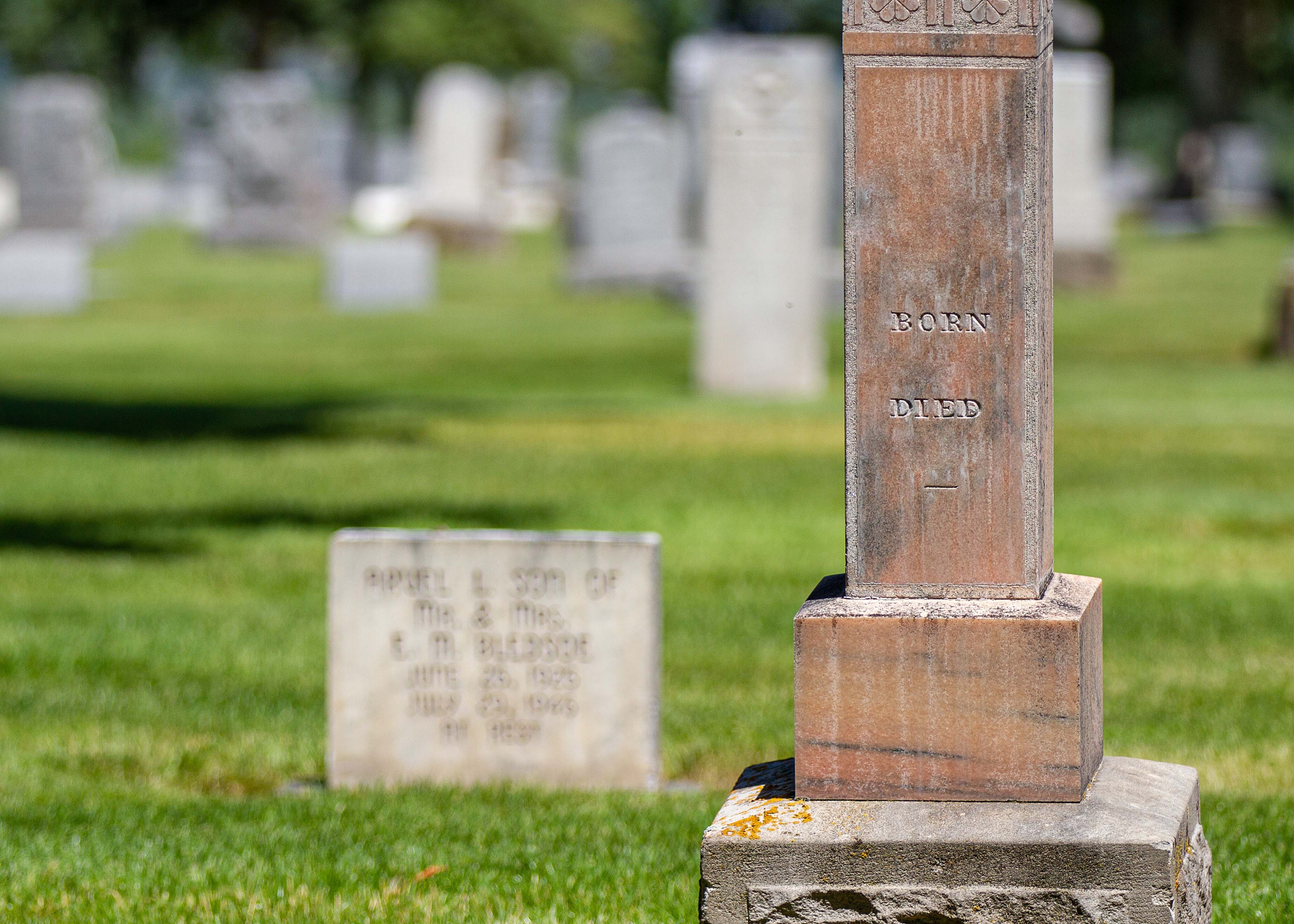 Things to do in Gold Coast