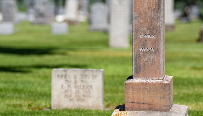 Things to do in Gold Coast