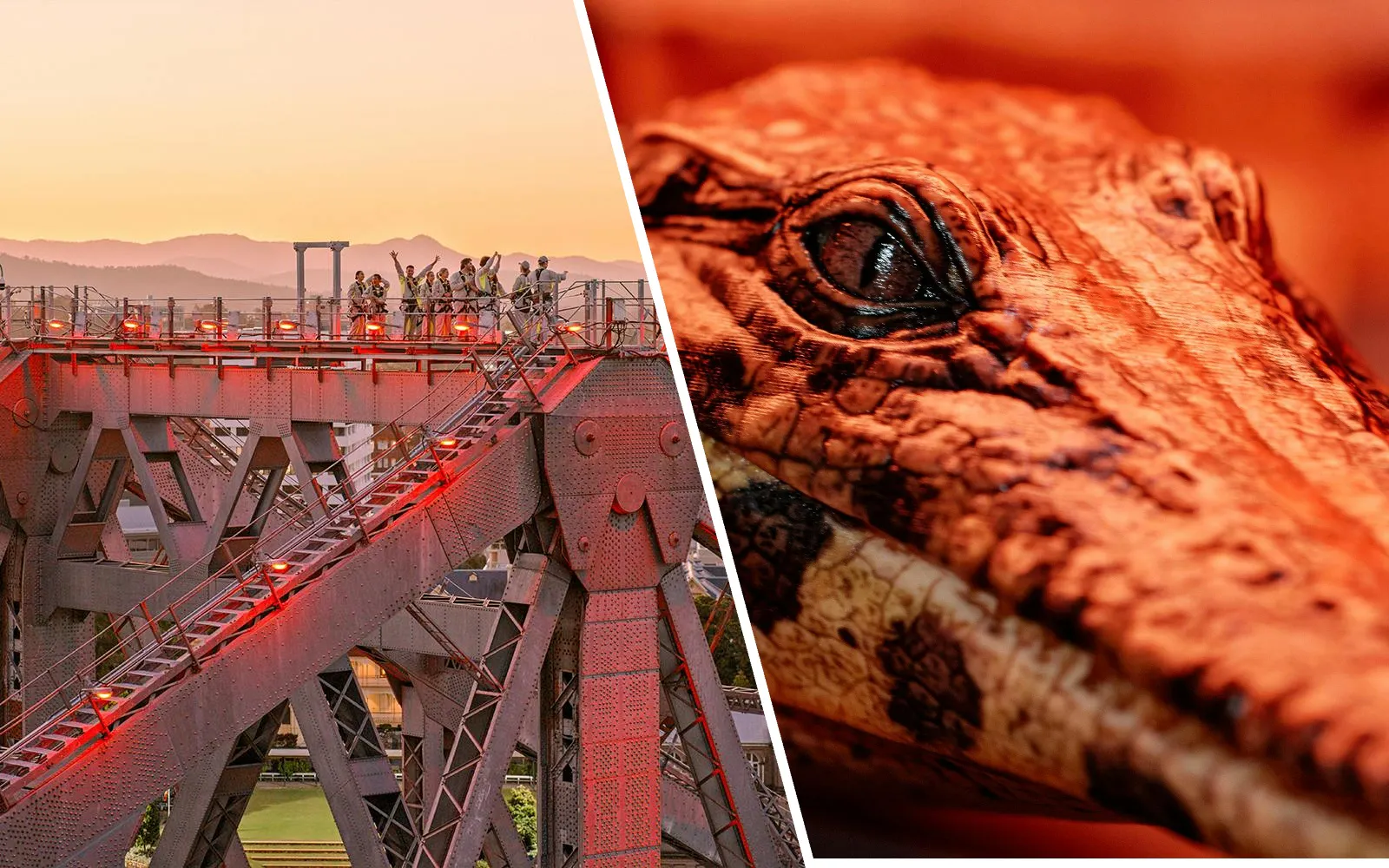 Story Bridge Twilight Climb and Croc! Lost Giants to Living Legends Experience