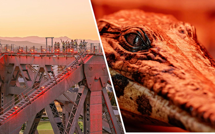 Climbers on Story Bridge at sunset, Queensland; close-up of crocodile at Queensland Museum.