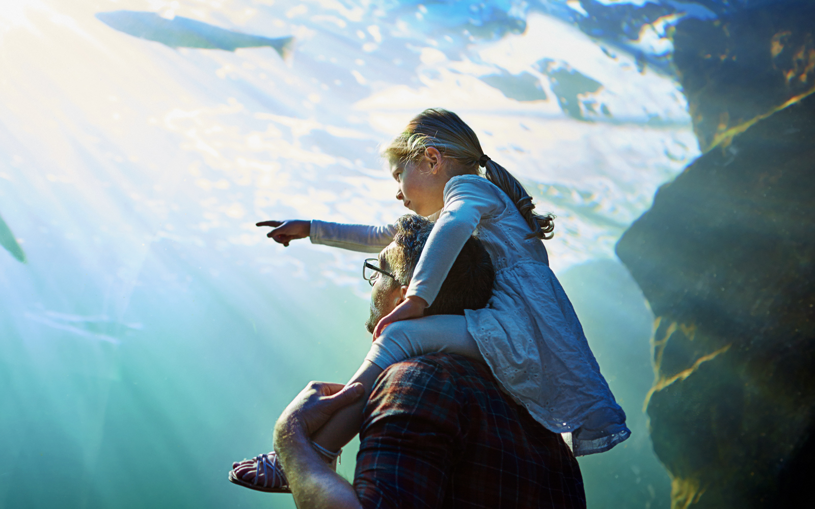 Eiffel Tower view from Seine River cruise in Paris, France.