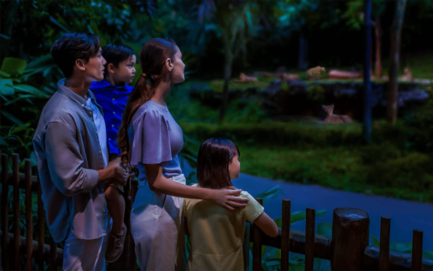 Family observing lions at Leopard Trail's Lion Lookout.