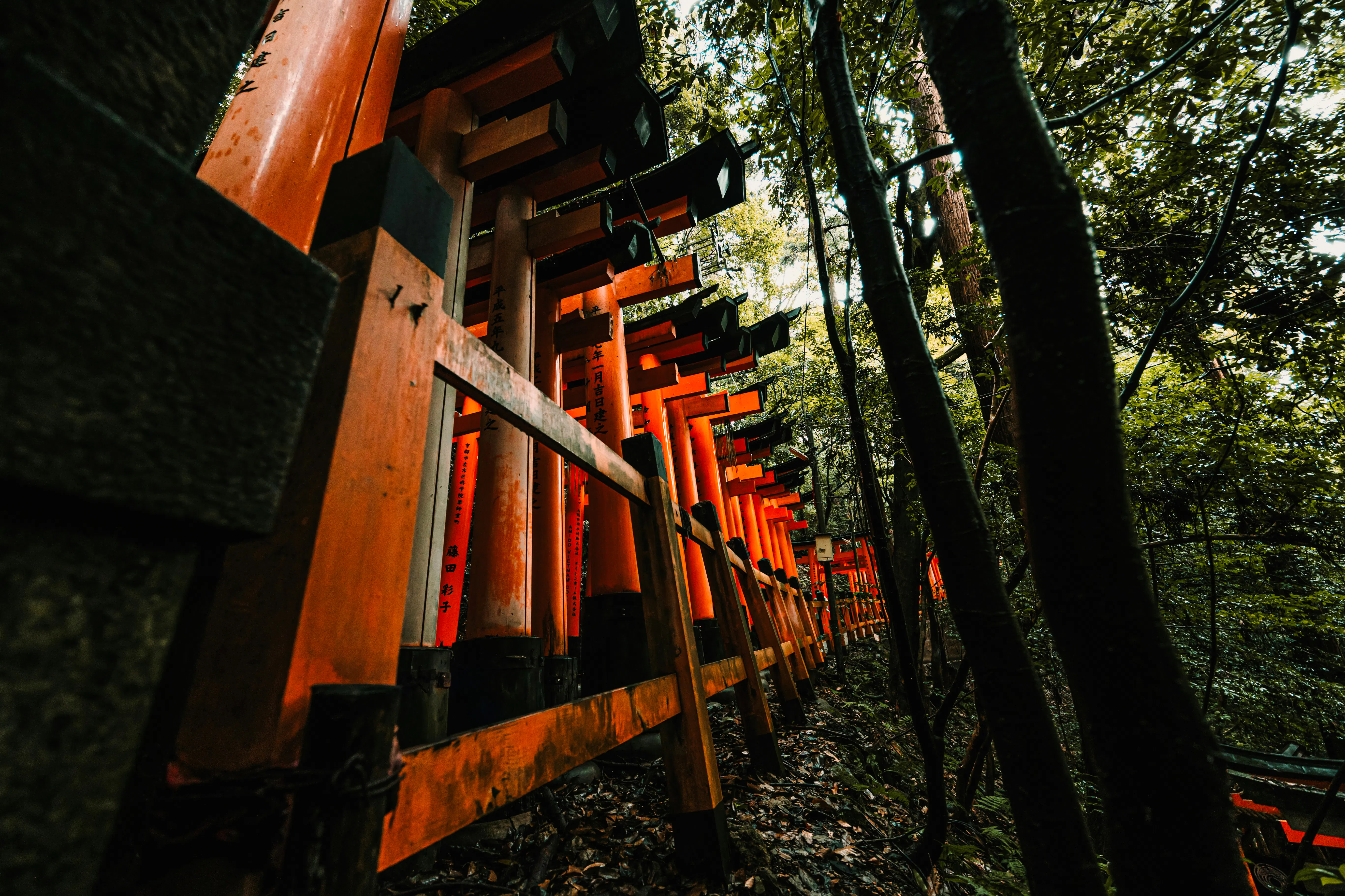 From Nagoya: Kyoto and Nara One-Way Guided Day Tour with Osaka Drop-Off Image 3