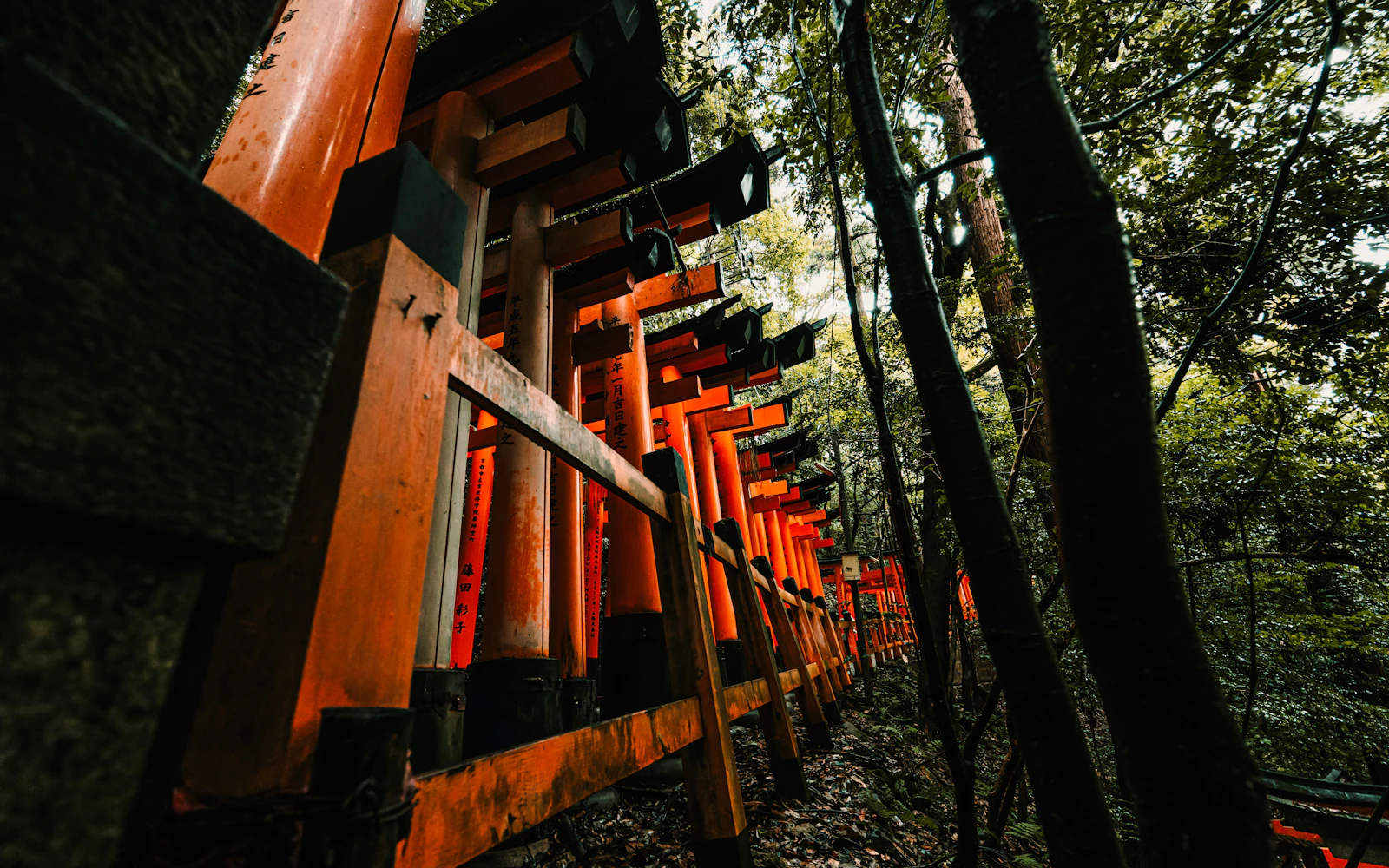 From Nagoya: Kyoto and Nara One-Way Guided Day Tour with Osaka Drop-Off Image 3