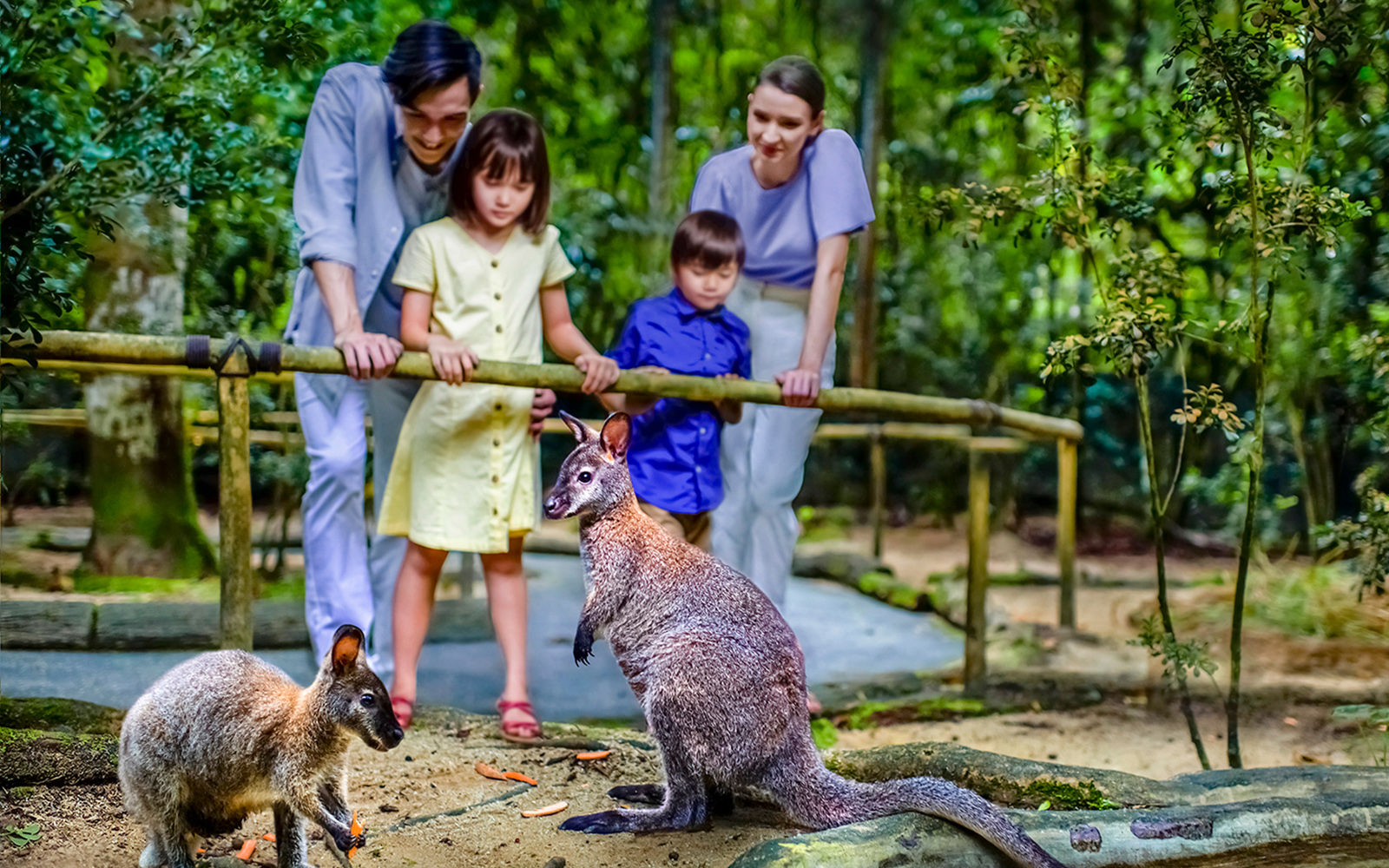 Singapore In December - Night Safari