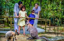 Singapore In December - Night Safari