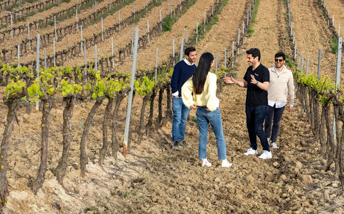 Group exploring vineyard during 4WD wine tour near Lisbon.