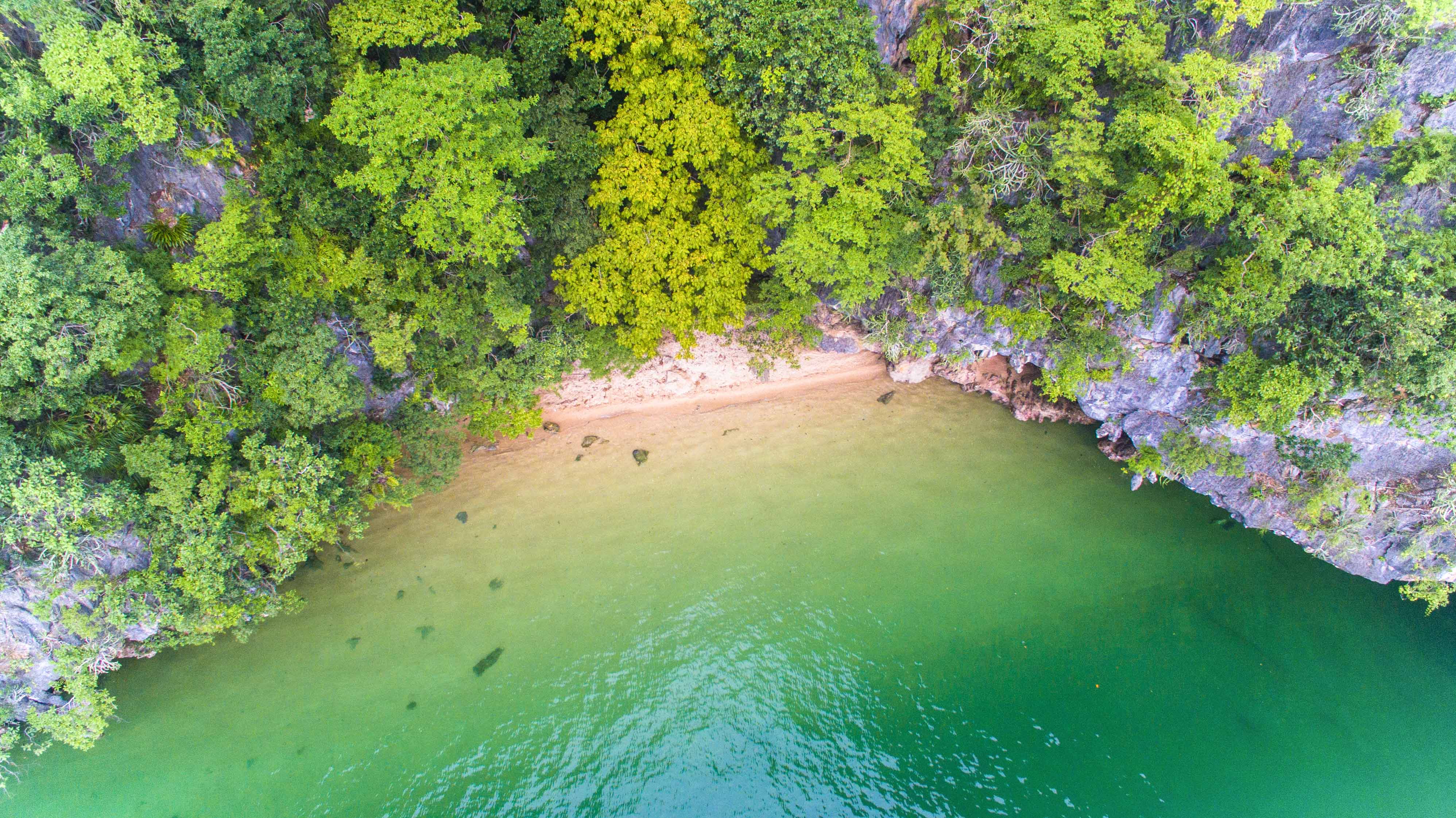 Aerial view of lush greenery and sandy beach on Panak Island, Thailand.