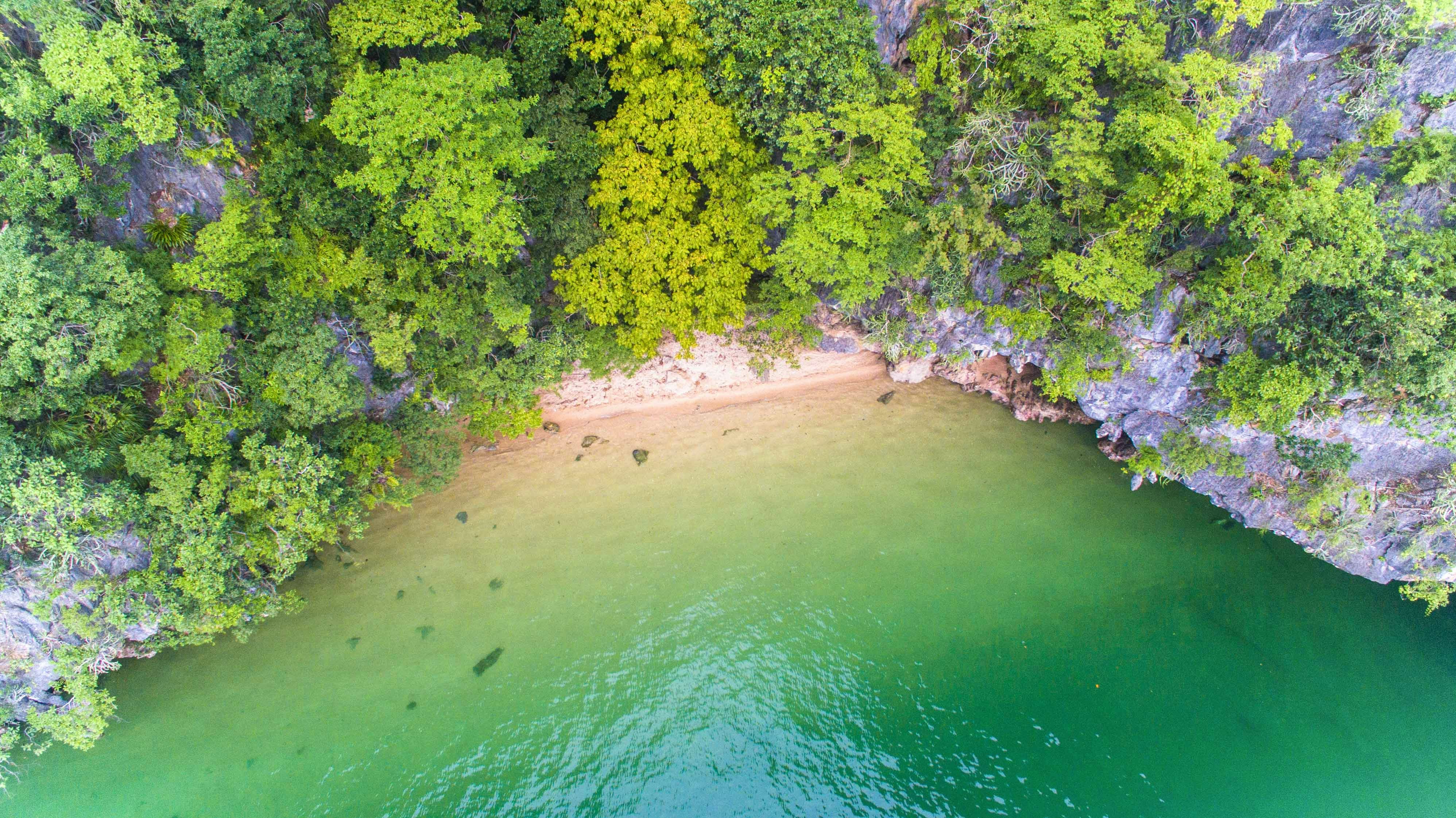 Aerial view of lush greenery and sandy beach on Panak Island, Thailand.