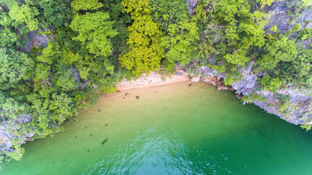 Aerial view of lush greenery and sandy beach on Panak Island, Thailand.