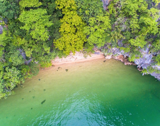 Aerial view of lush greenery and sandy beach on Panak Island, Thailand.