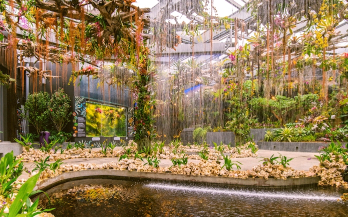 Gardens by the Bay's Floral Fantasy with vibrant hanging plants and water features in Singapore.
