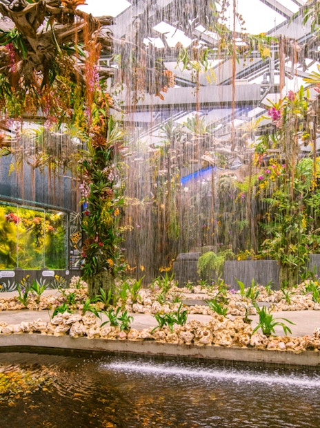 Gardens by the Bay's Floral Fantasy with vibrant hanging plants and water features in Singapore.